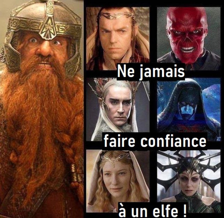 fais jamais confiance à un elfe c'est signé Tolkien - meme