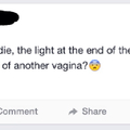 We are all in vaginas