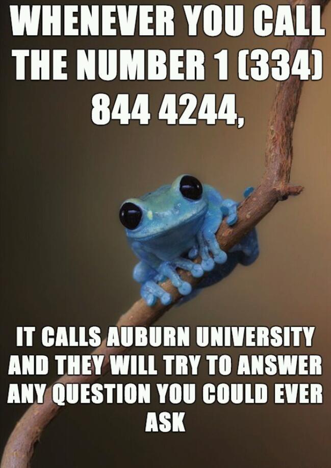 call it and comment the responses - meme