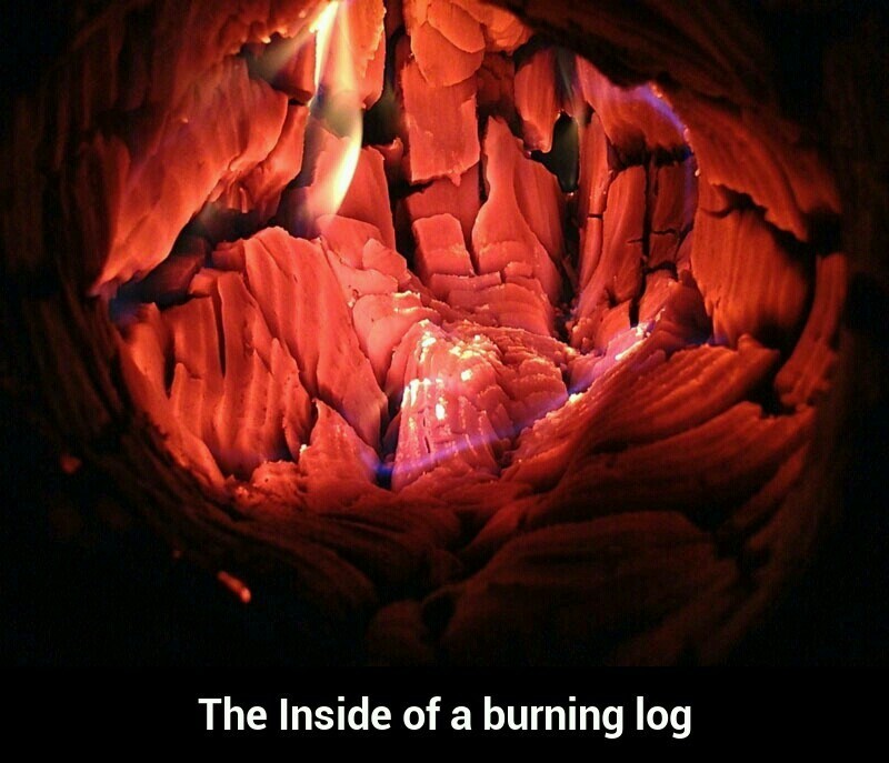 Burning log - meme