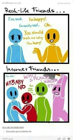 internet friends - meme