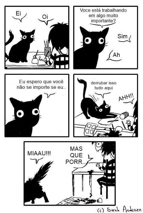 Le gato - Meme by Nyll :) Memedroid