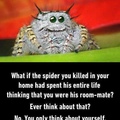 Spiders are good pets for the pillowcase jus sayin’