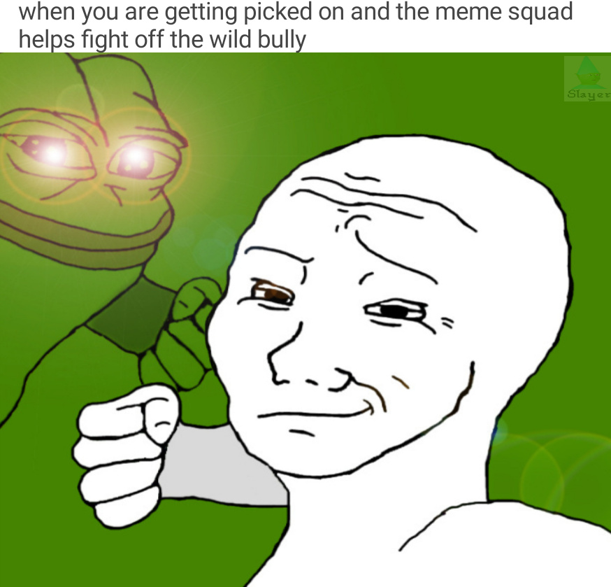 Meme squad protect