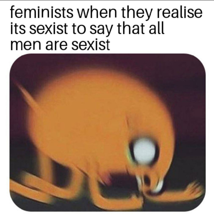 Dongs in a feminist - meme