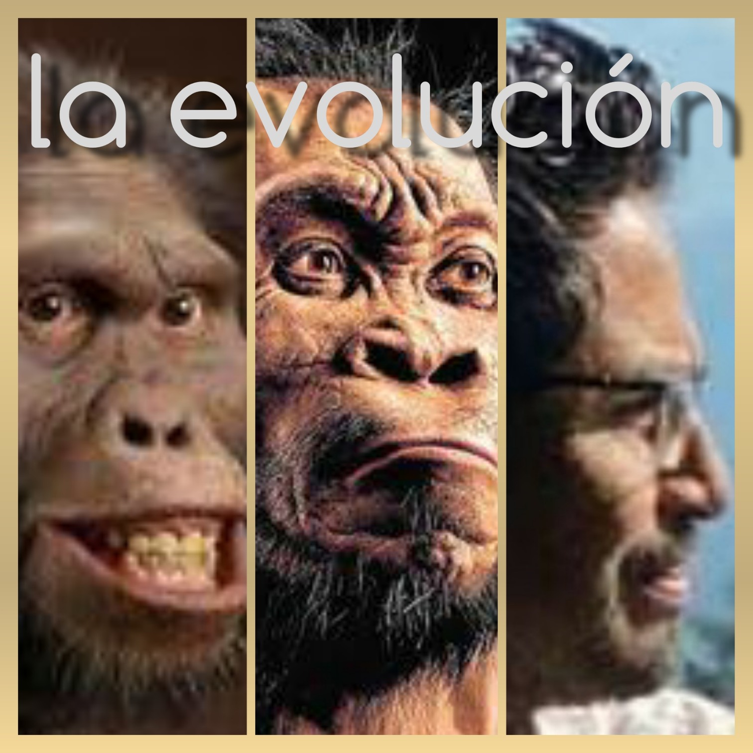 La evolución - meme