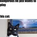 What a dangerous cat