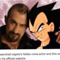 Vegeta's italian voice actor