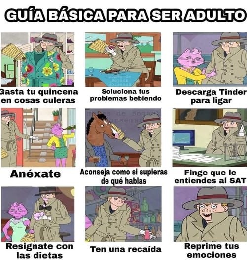 Guía para ser adulto - meme