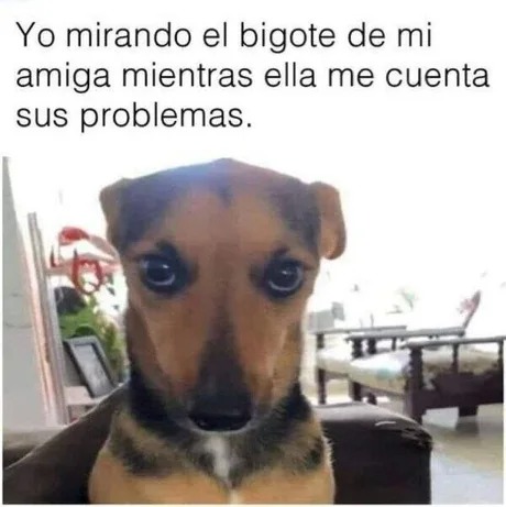 Meme del bigote de mi amiga