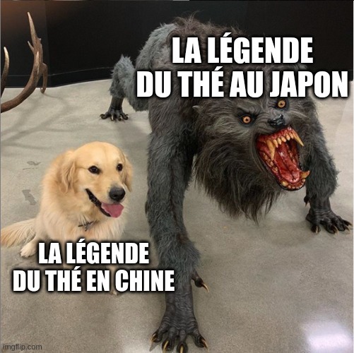 chine: un empereur mélange des feuilles et de l'eau .Japon/Inde : un moine se coupe les paupières - meme