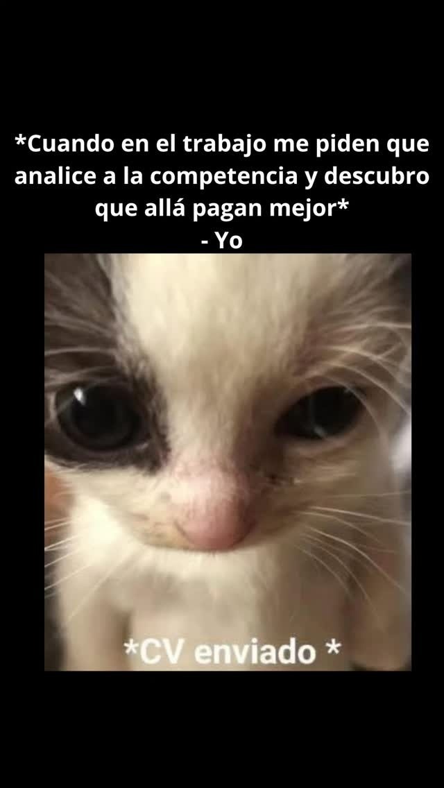Me piden analizar la competencia y me entero que allá pagan más: CV enviado - meme