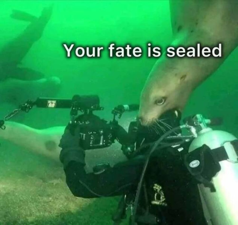 Sealed up. Or down. I don't know. - meme
