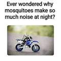 Ever wondered why mosquitoes make so much noise at night?