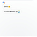 I attempted to awaken cthulu using my google assistant