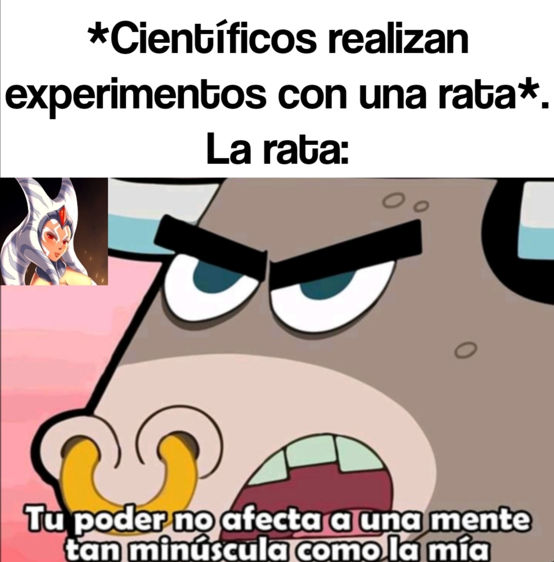 Ratas - meme