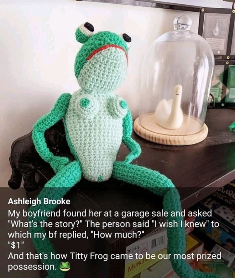 cursed titty frog - meme