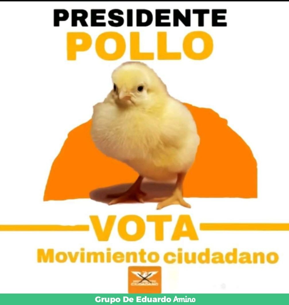 Top memes de Pollo en español :) Memedroid