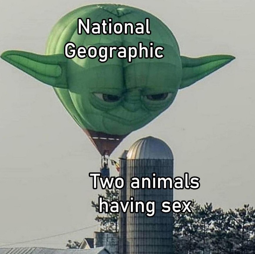 National Geographic: Two animals having sex, the most educational thing you’ll see today - meme