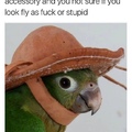 Fly as fuck, parro