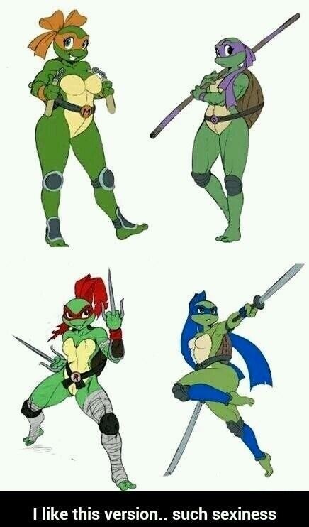How dare you do that to the Ninja Turtles - meme