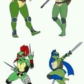 How dare you do that to the Ninja Turtles