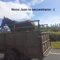 Noooo Juan ;(