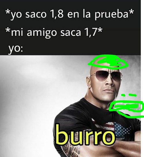 Burro - meme