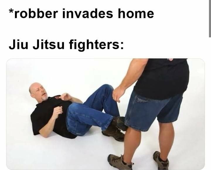 It’s the best martial art bro trust me - meme