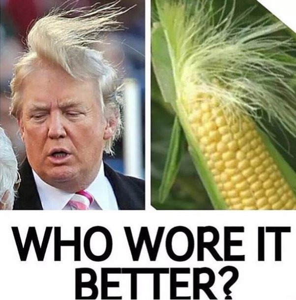 The best Corn memes :) Memedroid