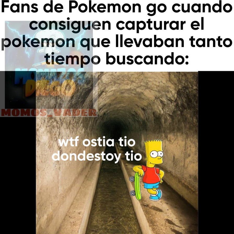 meme de los fans de pokemon go