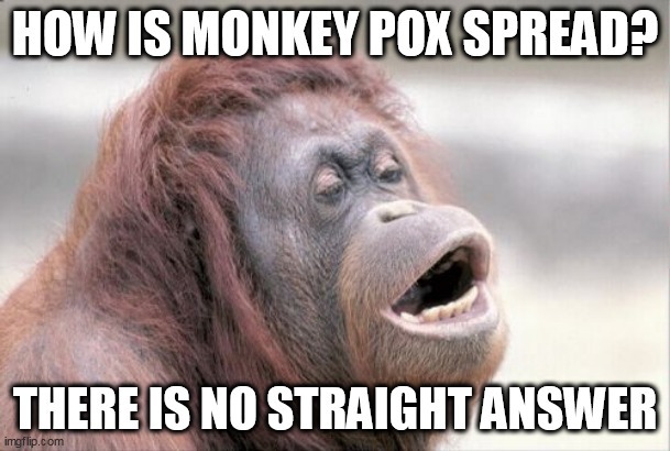 Monkey pox - meme