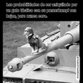 Memes de gatos y tanques 1
