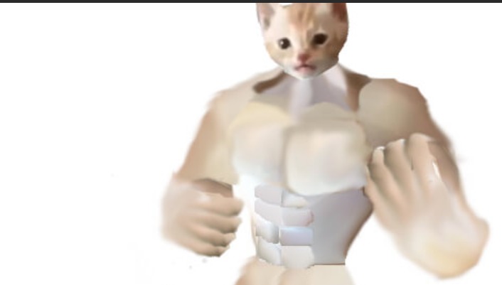 gato miguel con musculos - meme