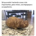 commented item thumbnail