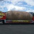 That's a big ass potato