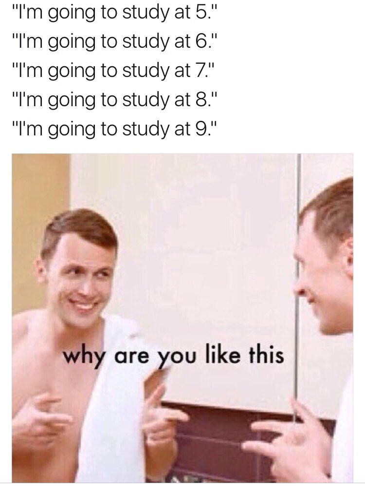 Because i choose to be... Studying sucks - meme