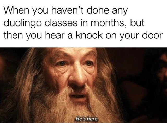 When you haven't done any Duolingo classes in months, but then you hear a knock on your door - meme