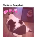 Thiccc