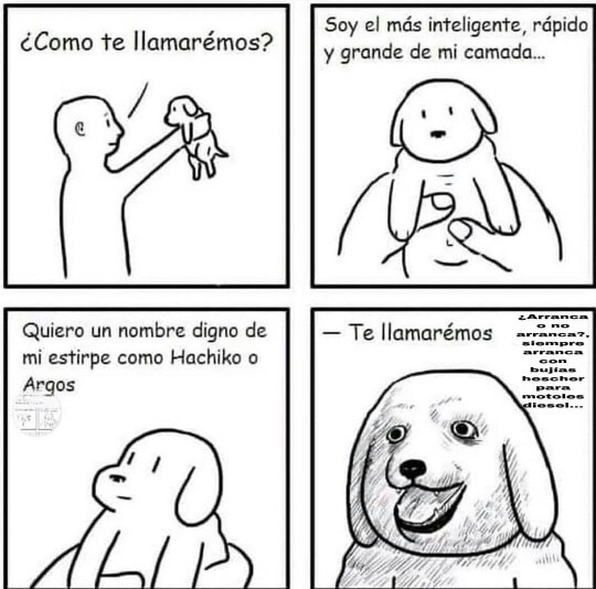 Mi perro se llama: escribidlo en la caja de comentarios. - meme