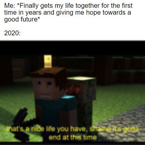 I had nothing going for me in 2020 - meme