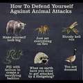 How to defend yourself against animal attacks