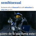 Semibisexual