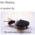 Bzzbzz