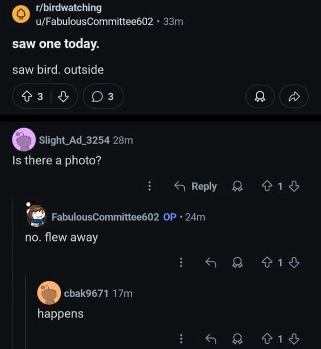 Saw a bird. No pic. Flew away. Happens. - meme
