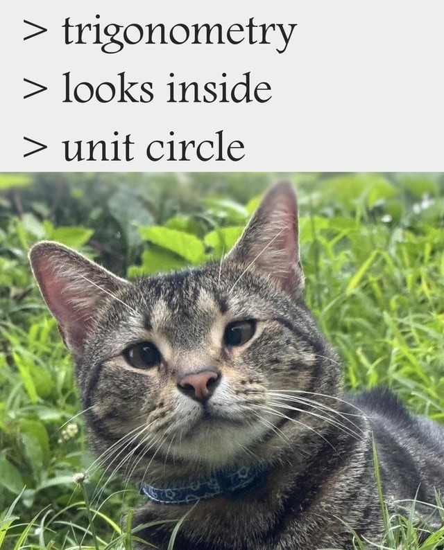 Trigonometry looking inside the unit circle like it’s the Matrix - meme