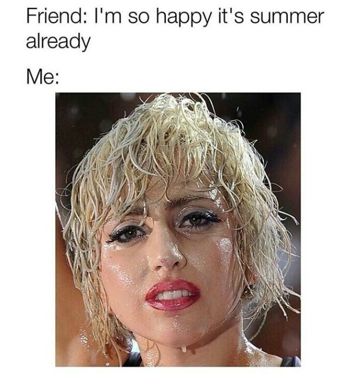 I hate summer - meme