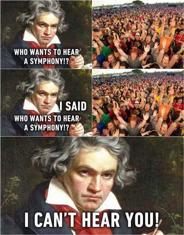 Beethoven was deaf - meme