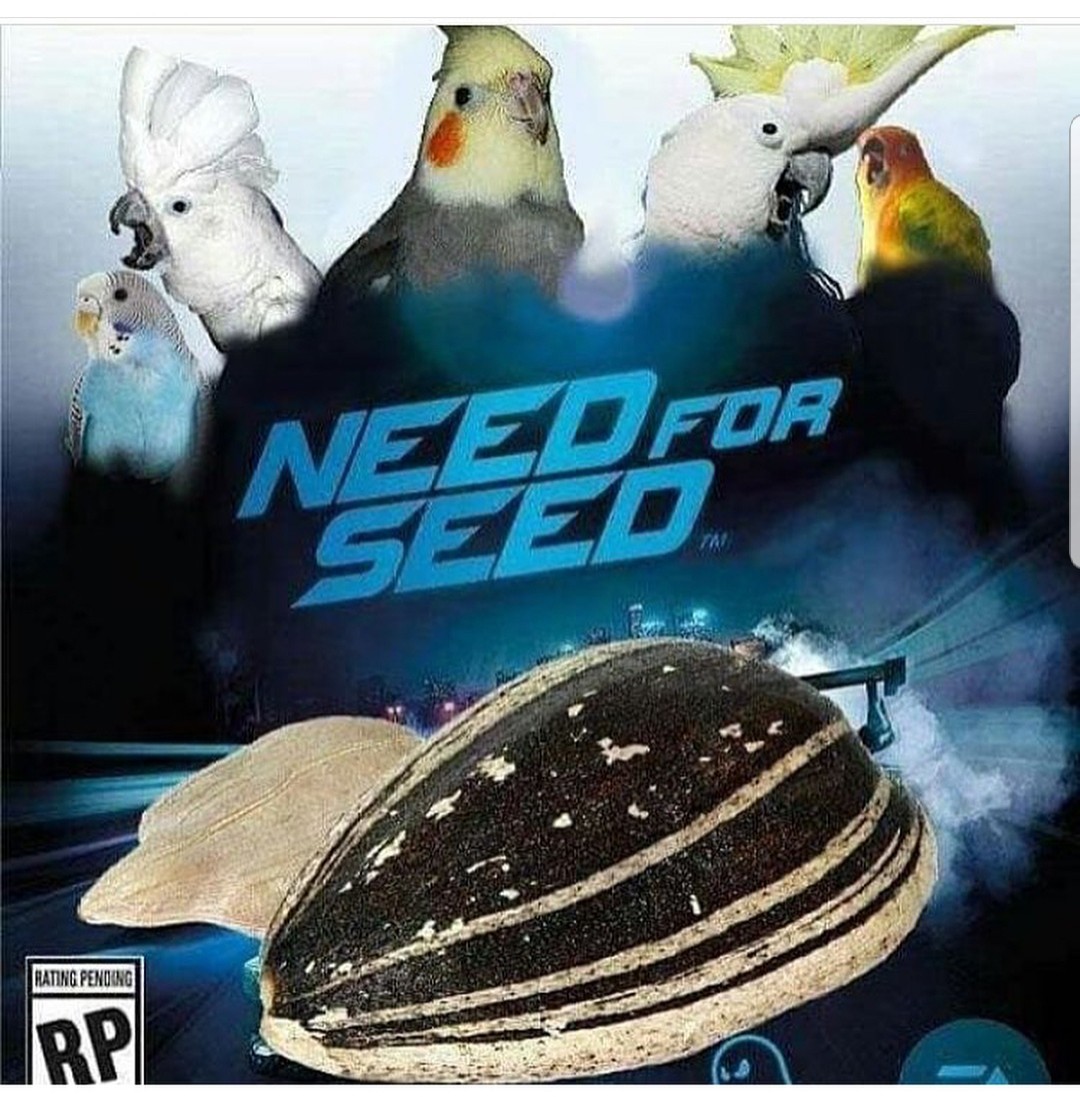 Seed - meme