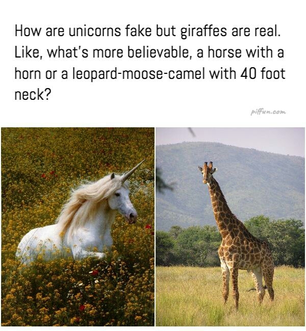 giraffe - meme